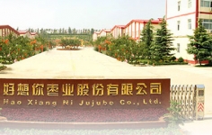 好想你枣业